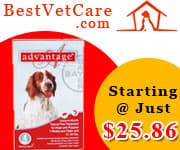 Best Vet Care discount coupons and deals