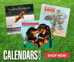 Calendars.com discount coupons and deals