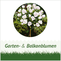 AS Garden discount coupons and deals